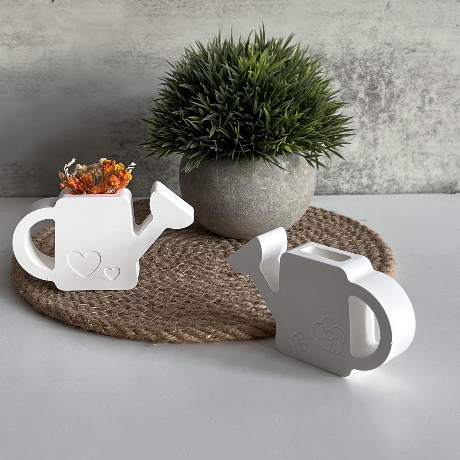 2PCS Gypsum Watering Pot Silic - Potsticker Mold review and price