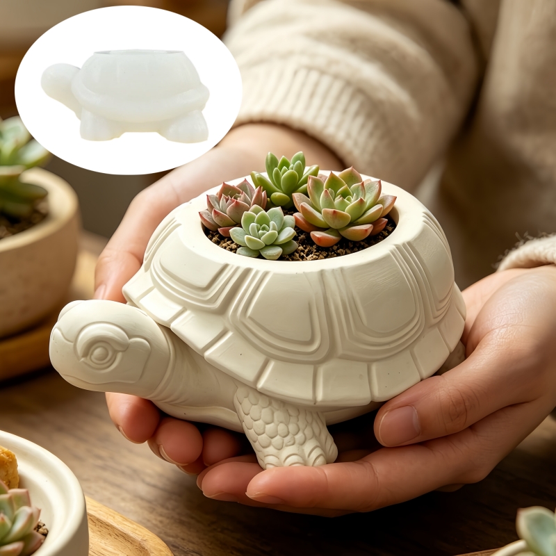Turtle shaped succulent plant  - Potsticker Mold review and price
